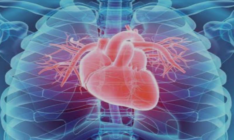 What is cardiac disease